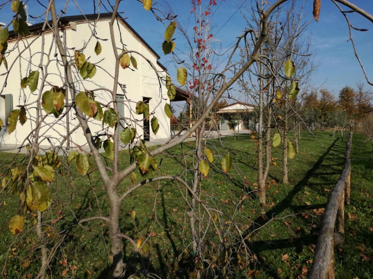 Agriturismo Corte Benetti Rovigo Exteriör bild