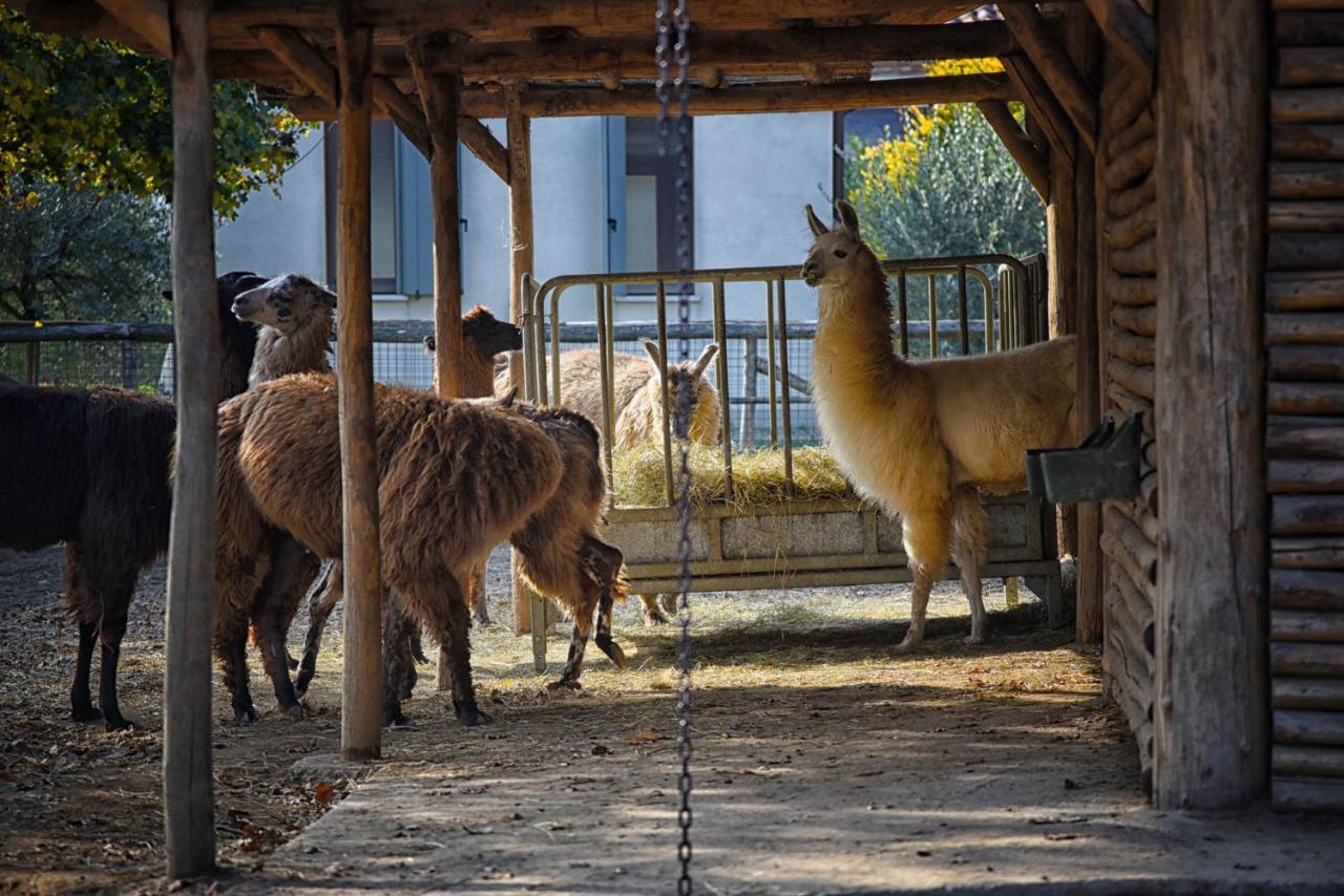 Agriturismo Corte Benetti Rovigo Exteriör bild
