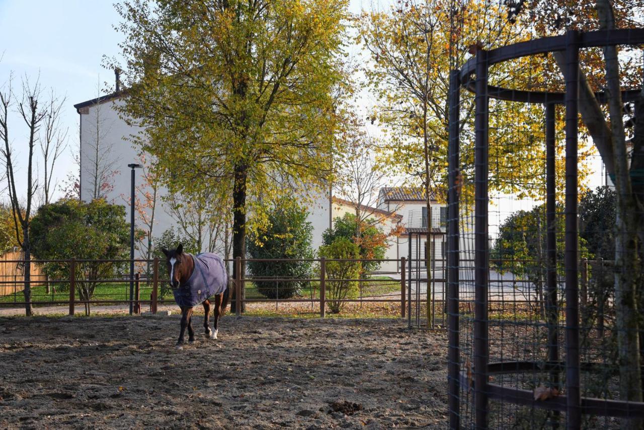 Agriturismo Corte Benetti Rovigo Exteriör bild