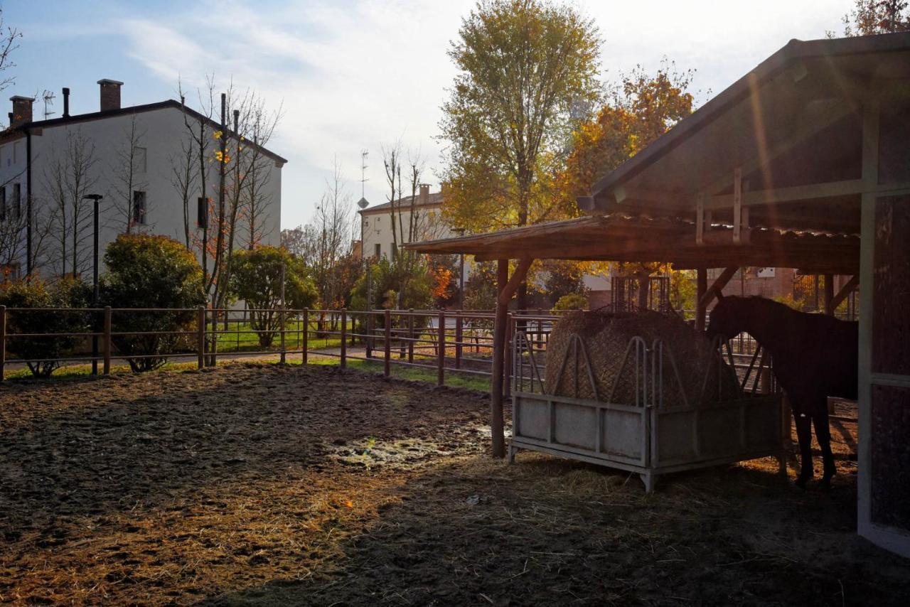 Agriturismo Corte Benetti Rovigo Exteriör bild